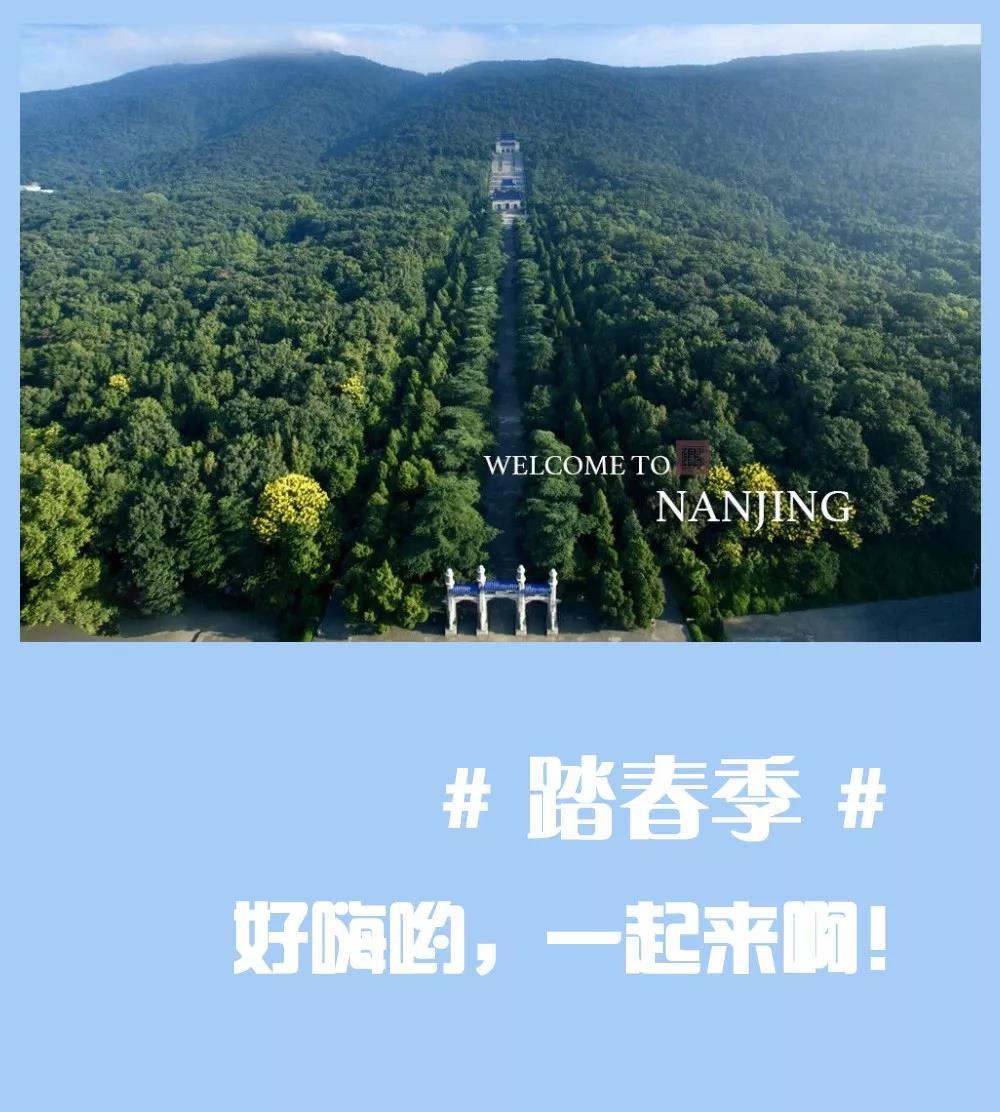 安排上了，南京新華邀你共赴免費體驗營