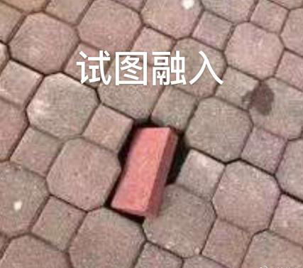 新華互聯(lián)網(wǎng)科技正式入駐Bilibili！會摩擦出什么樣火花呢？